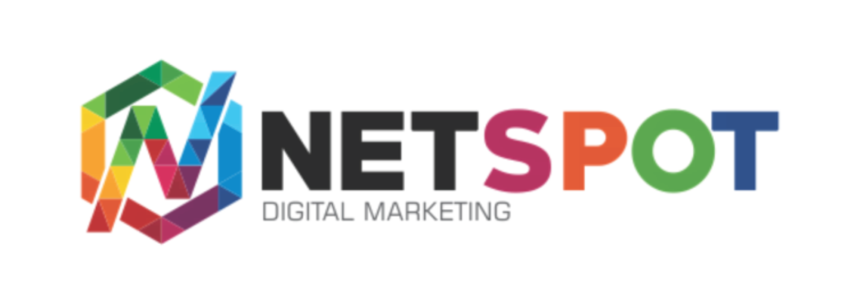 Netspot Media logo